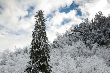 La Panera (oua_88354531_image)