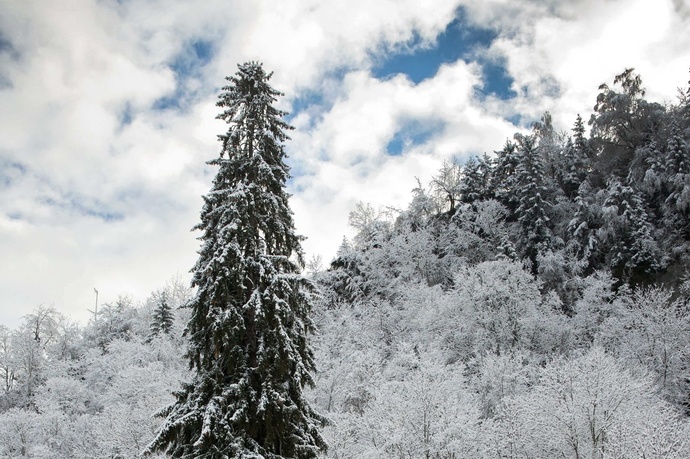 La Panera (oua_88354531_image)