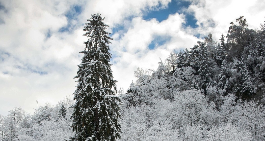 La Panera (oua_88354531_image)