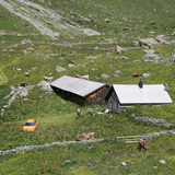 Sennhütte Alp Urschai, Ftan