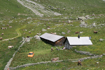 Sennhütte Alp Urschai, Ftan
