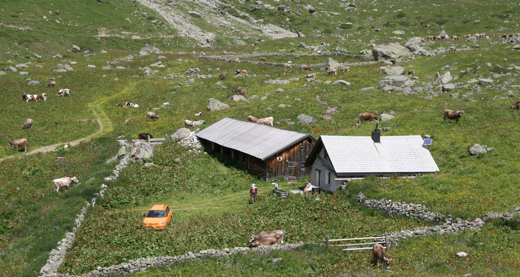 Sennhütte Alp Urschai, Ftan
