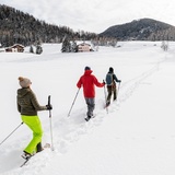 Wildboden-Trail (oua_88676383_image)