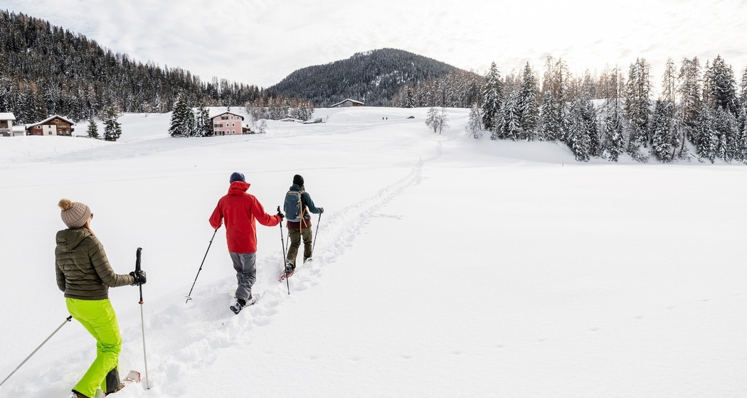 Wildboden-Trail (oua_88676383_image)