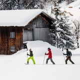 Wildboden-Trail (oua_88676411_image)