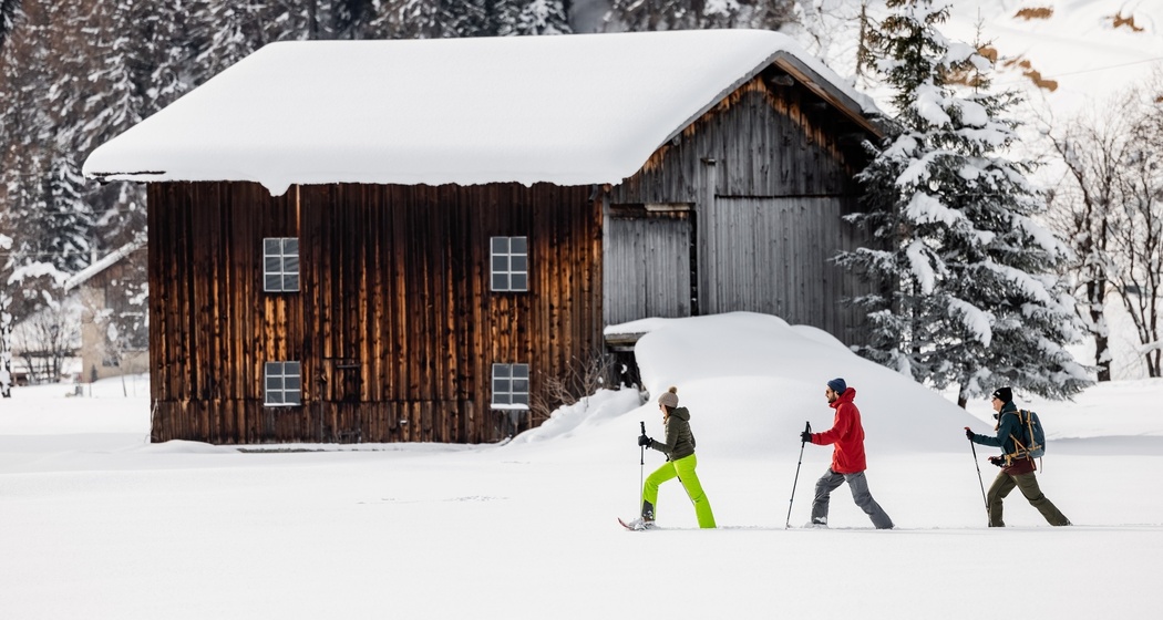 Wildboden-Trail (oua_88676411_image)