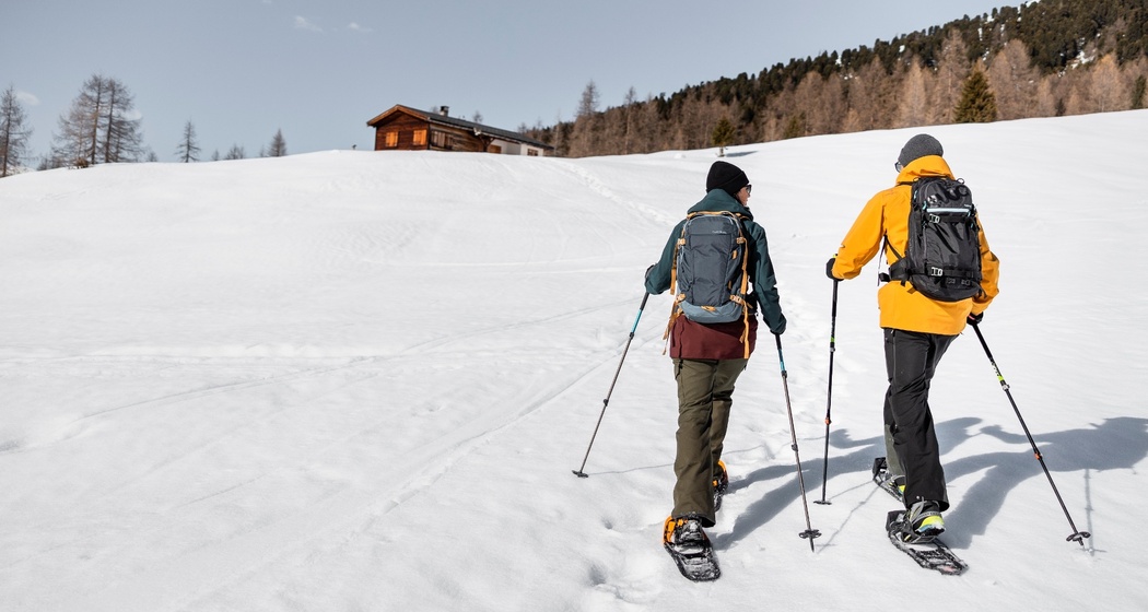 Pischa Route: Berg - Arvenwald - Tal (oua_88676727_image)