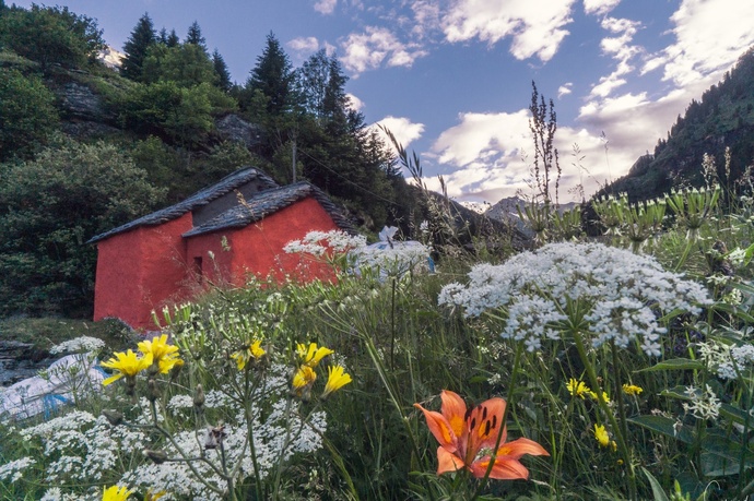 Cappella della Madonna del Sangue e del Rosario (oua_88683498_image)