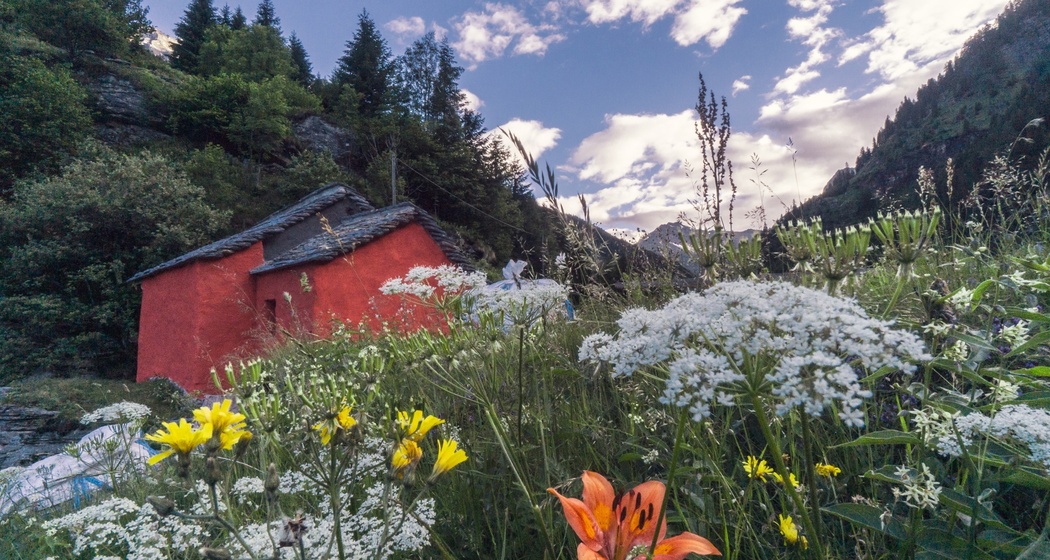 Cappella della Madonna del Sangue e del Rosario (oua_88683498_image)