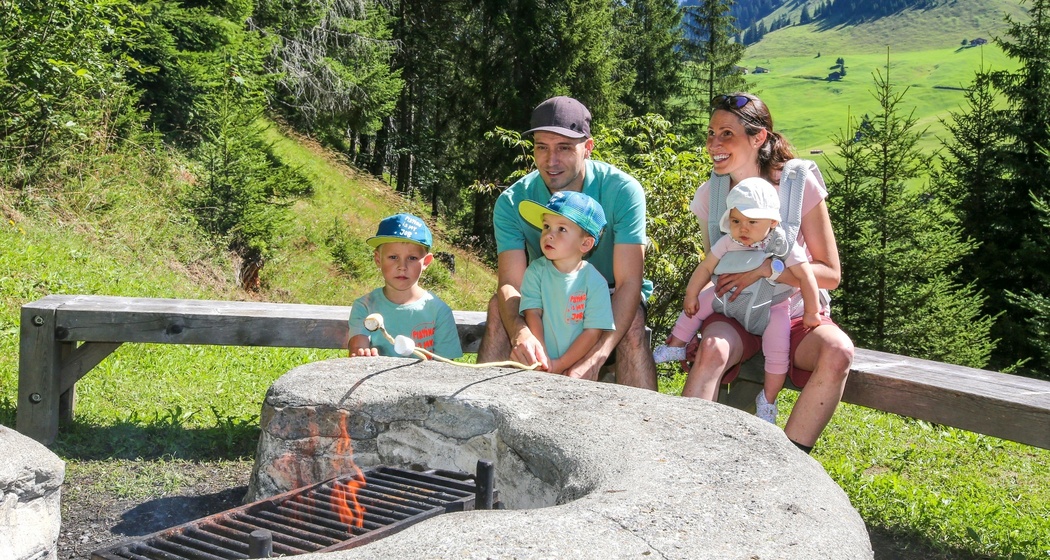 Grillieren Feuerstelle Holderboden