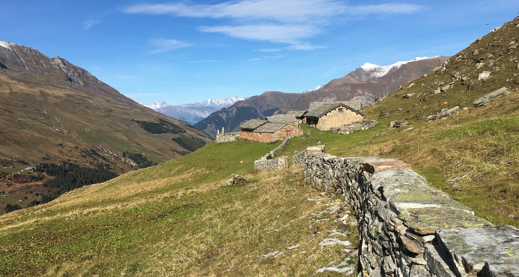 Zerfreila - Ampervreila - Vals (oua_89549485_image)