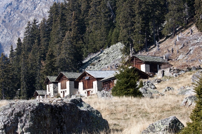 Plän Gilet (oua_89878225_image)