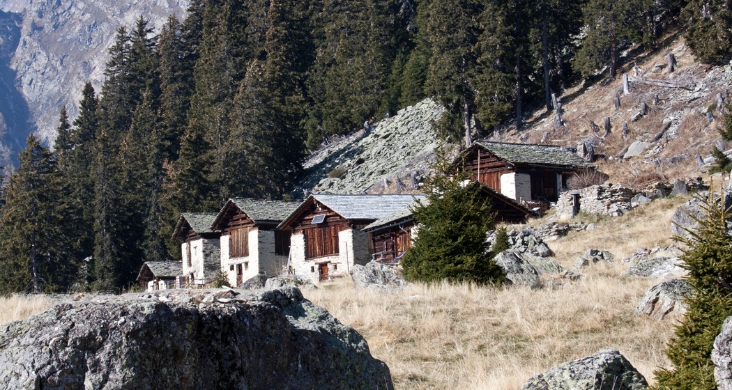 Plän Vest (oua_89878225_image)