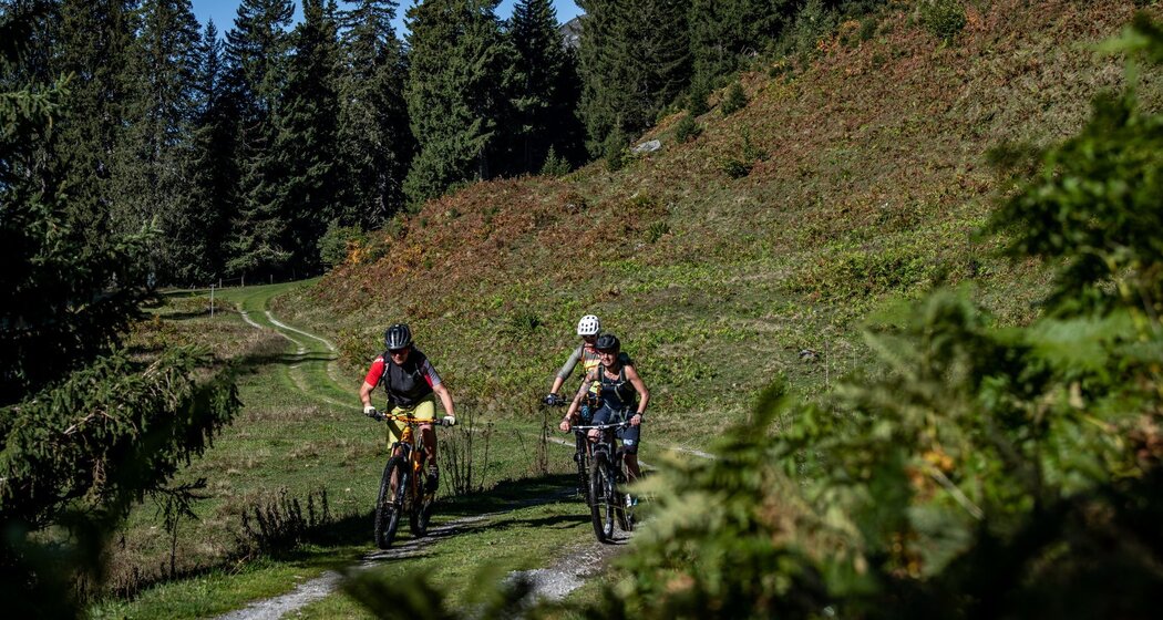 Kurz nach dem Downhill von der Alp Tschegn Dadens Sut