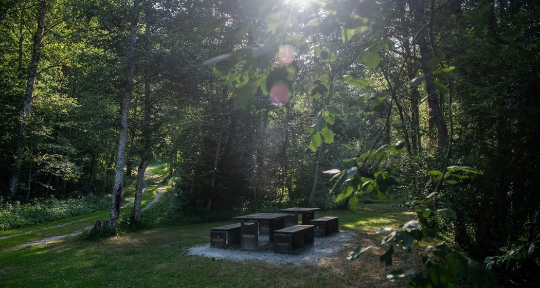 Feuerstelle Polenweg, Ilanz (oua_90311364_image)