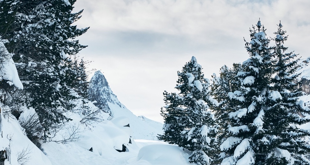 Winterwanderung Zerfreila - Kapelle - Zerfreila (oua_90339686_image)