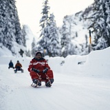 Luge sur la Zerfreilastrasse