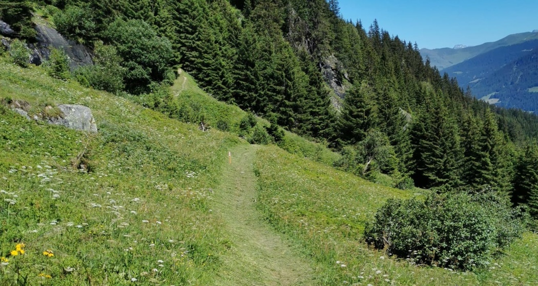 Wanderweg von der Puntegliashütte nach Brigels