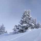 Typical winter landscapes during this route