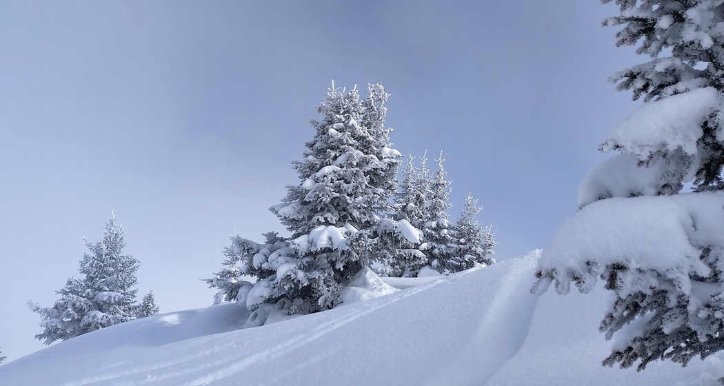 Typische Winterlandschaften während dieser Tour