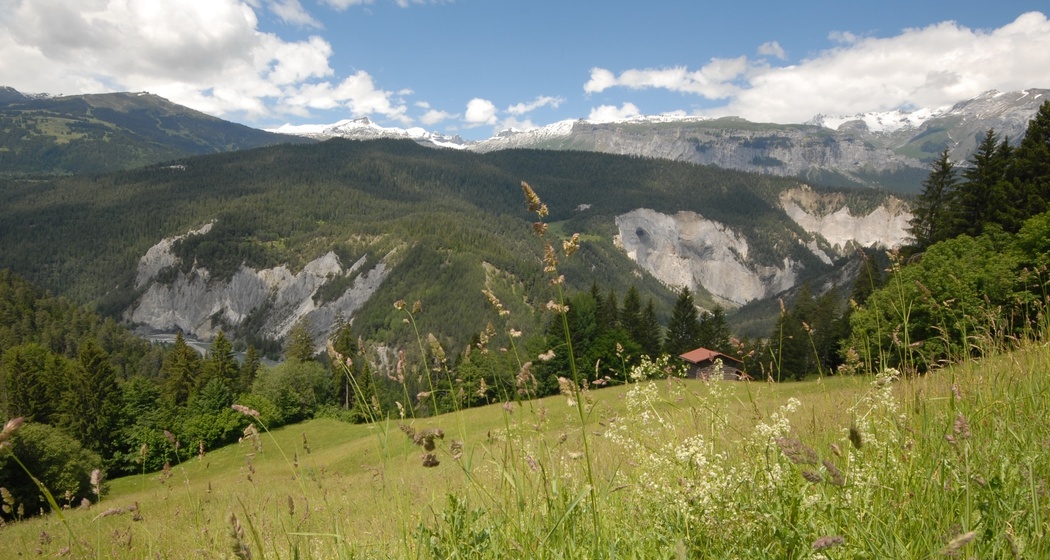 257 Calörtsch (oua_9070386_image)