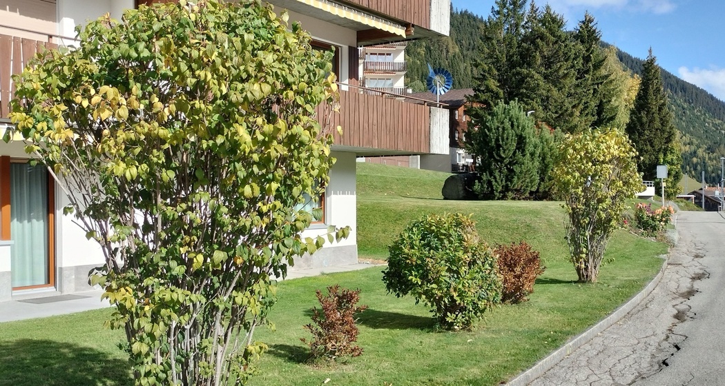 Tgèsa Gendusas Koch (oua_90822789_image)