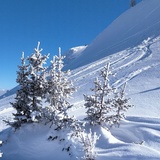 Zwischen Dutjer Alp und Alp da Riein