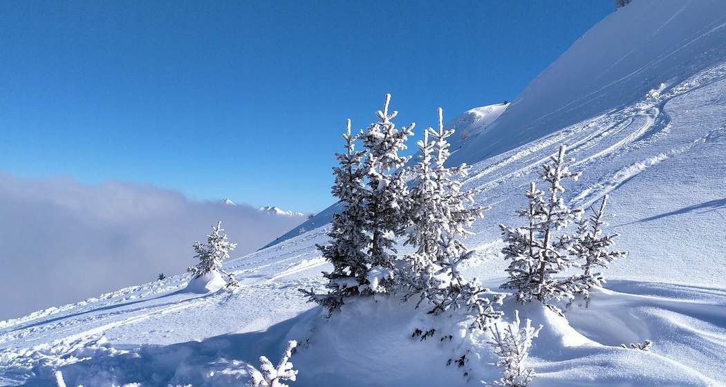 Zwischen Dutjer Alp und Alp da Riein
