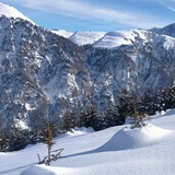 Zwischen Dutjer Alp und Alp da Riein