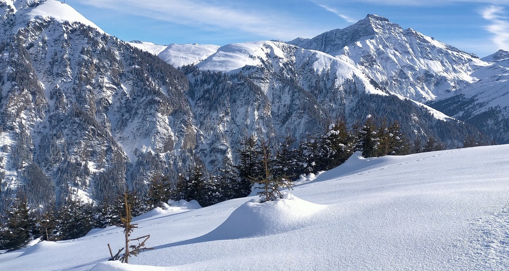 Zwischen Dutjer Alp und Alp da Riein
