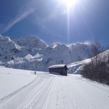 Langlaufloipe Thalkirch