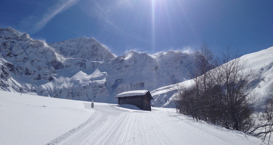 Langlaufloipe Thalkirch