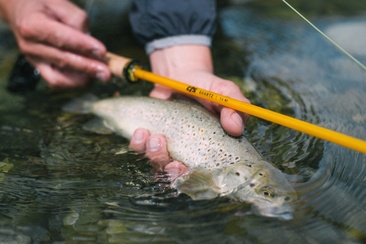 V-Stick Custom Flyrods (oua_90975424_image)