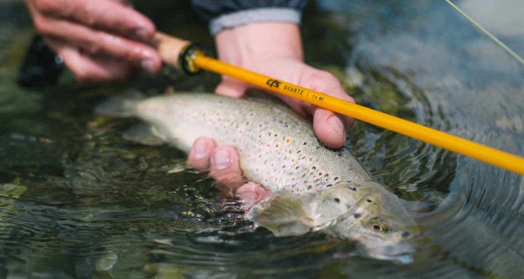 V-Stick Custom Flyrods (oua_90975424_image)