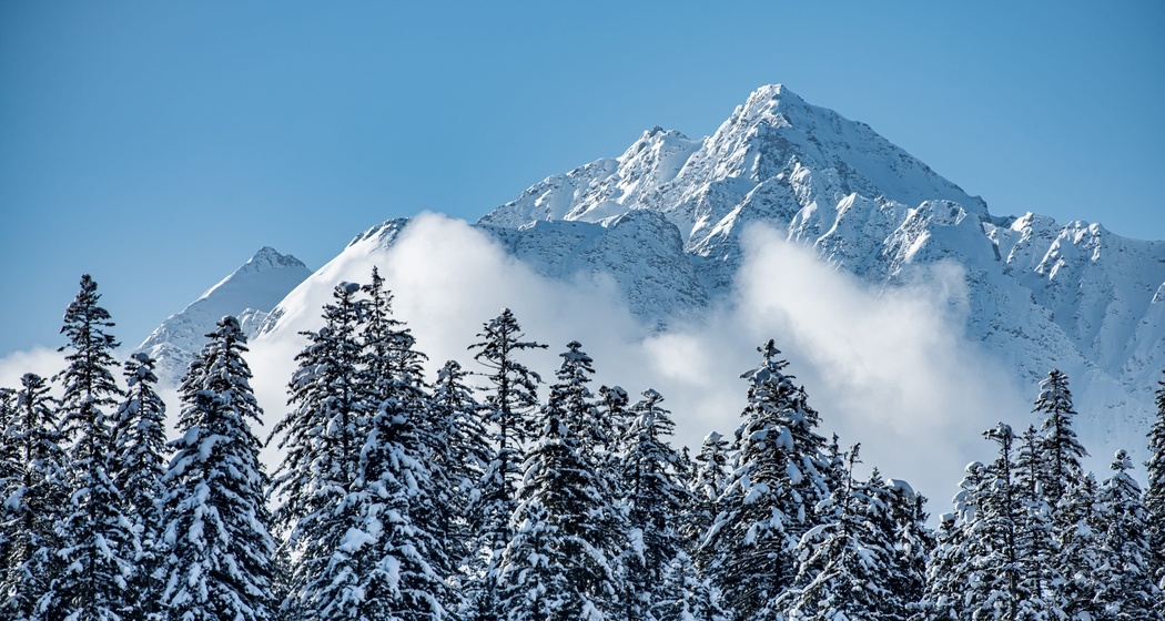 Putzprinz Gujan Ferienwohnung, Haus Surmir B / 16 (oua_91087205_image)