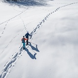 Einsame Spuren im Schnee