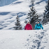 terreno perfetto per le ciaspole