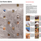 San Bernardino e il suo ambiente alpino - sentiero tematico (oua_91202491_image)