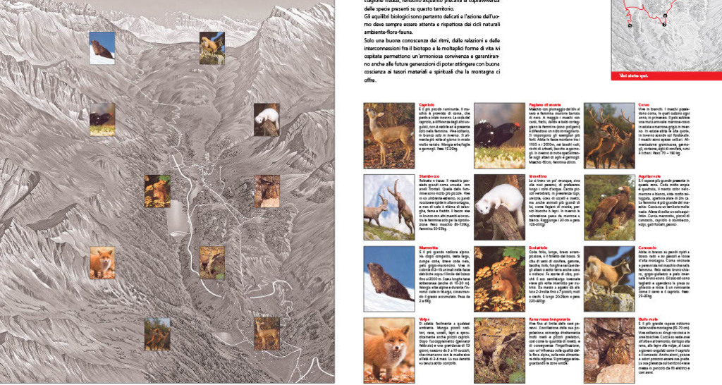 San Bernardino und seine alpine Umgebung - Themenweg (oua_91202491_image)