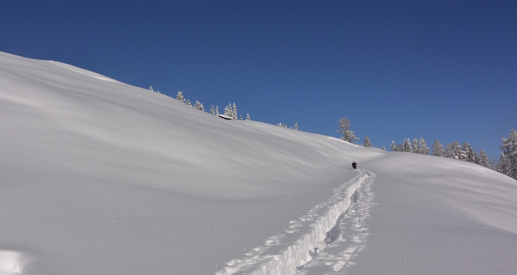 Tiefschnee oberhalb von Tenna