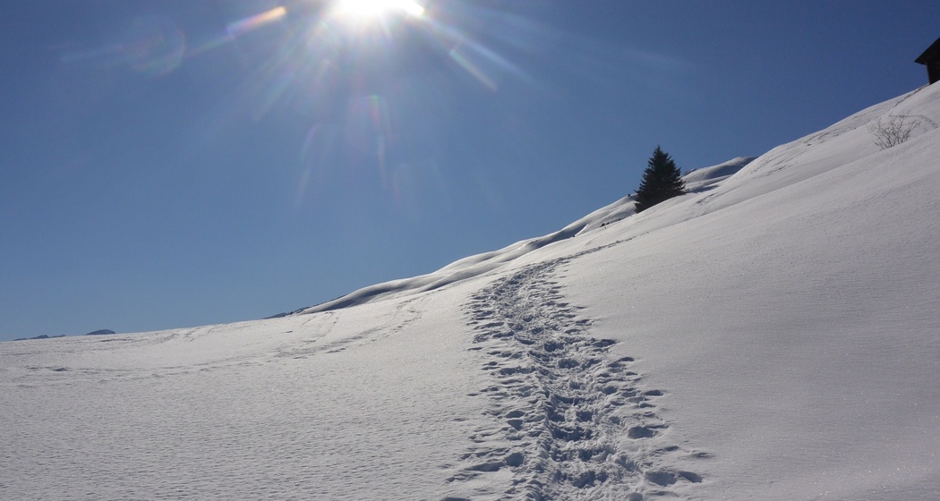 Oft sind es sanfte Hänge