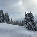 Parcours de raquettes n° 546 : Curnius - Alp Dadens-Sut - Falera (oua_91571242_image)