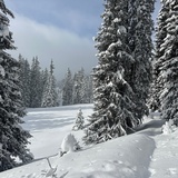 Parcours de raquettes n° 546 : Curnius - Alp Dadens-Sut - Falera (oua_91571244_image)