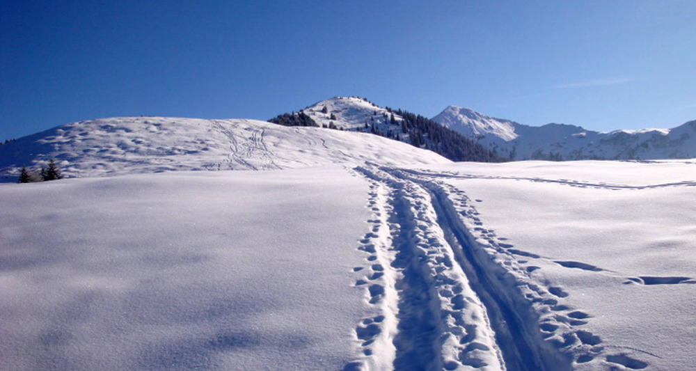 Aufstieg auf den Sassauna