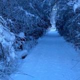 Aufnahme des Winterwanderwegs entlang dem Kunstpfad in Trun.