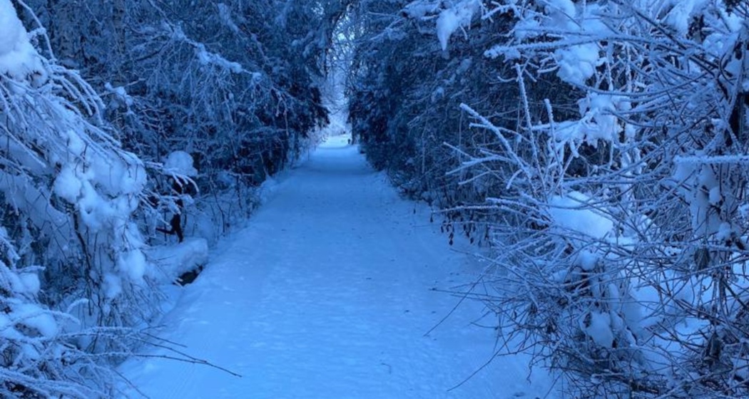 Aufnahme des Winterwanderwegs entlang dem Kunstpfad in Trun.