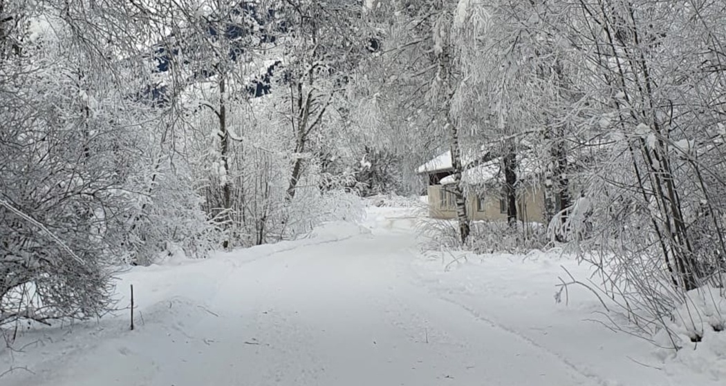 Aufnahme des Winterwanderwegs entlang dem Kunstpfad in Trun.