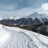 Schlittelweg von der Alp Es-cha Dadour