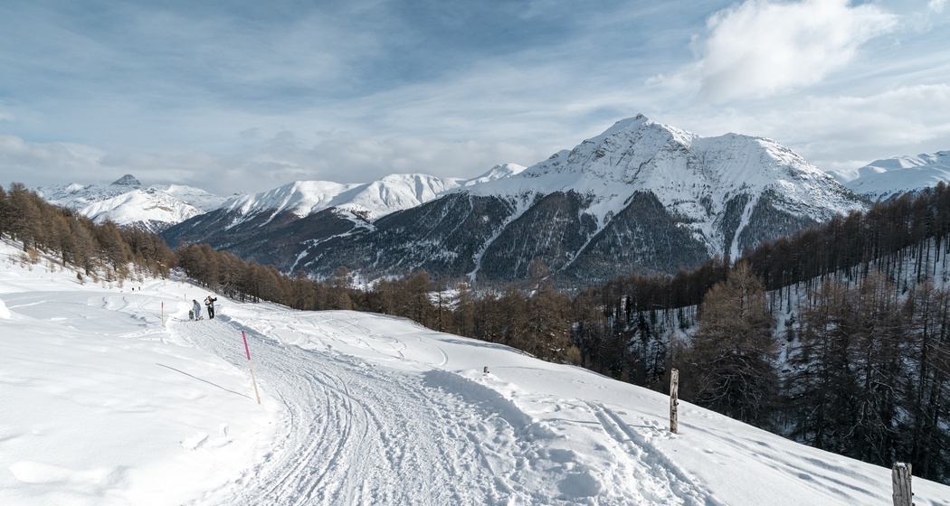 Schlittelweg von der Alp Es-cha Dadour