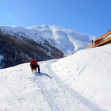 Schlittelweg von der Alp Es-cha Dadour